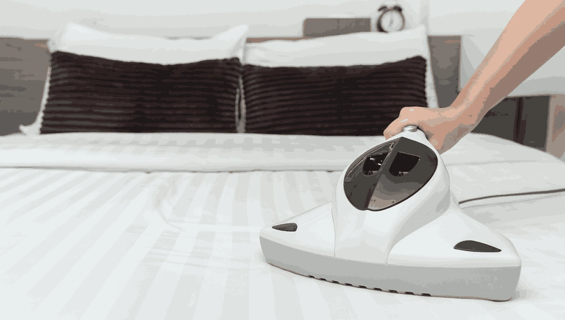 Professional Mattress Cleaning Hawksburn